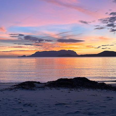 Willa Rosa Dei Venti - Casa Maestrale - Sardegna - Iun R2217 Olbia Zewnętrze zdjęcie