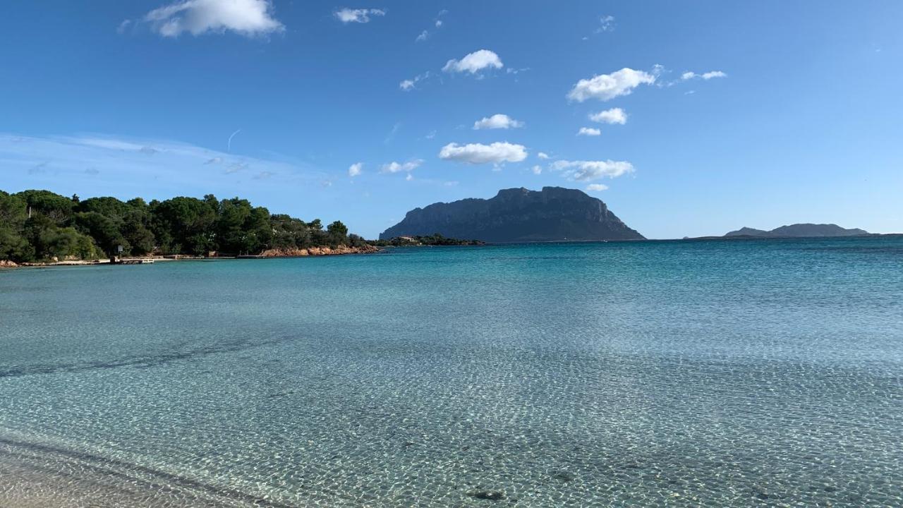 Willa Rosa Dei Venti - Casa Maestrale - Sardegna - Iun R2217 Olbia Zewnętrze zdjęcie
